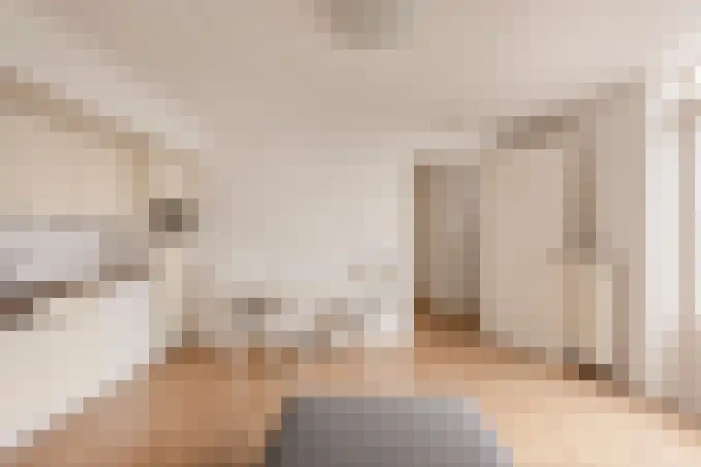 Piet Heinstraat 101 B Den Haag thumbnail 10