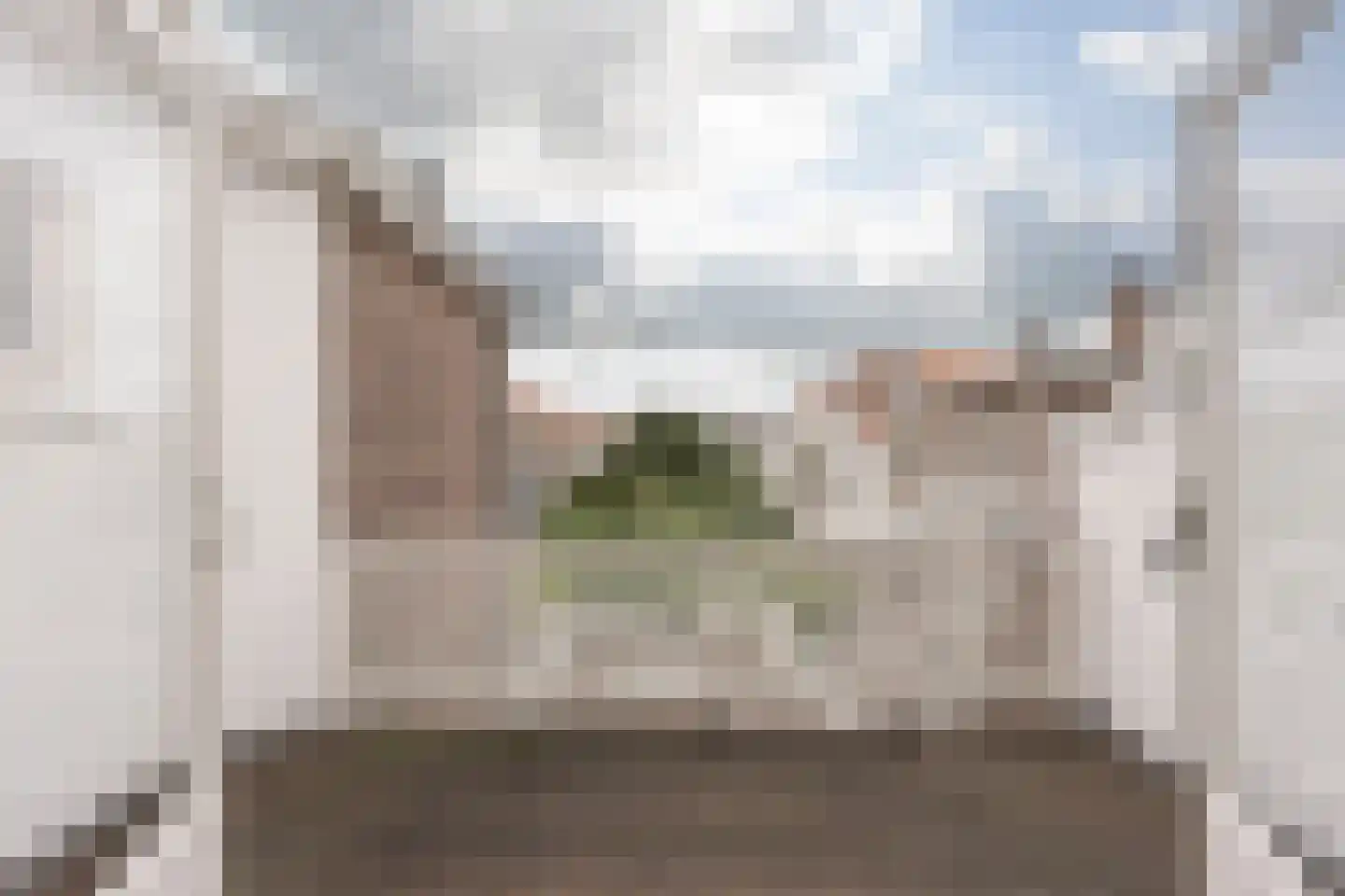 Piet Heinstraat 101 B Den Haag thumbnail 12