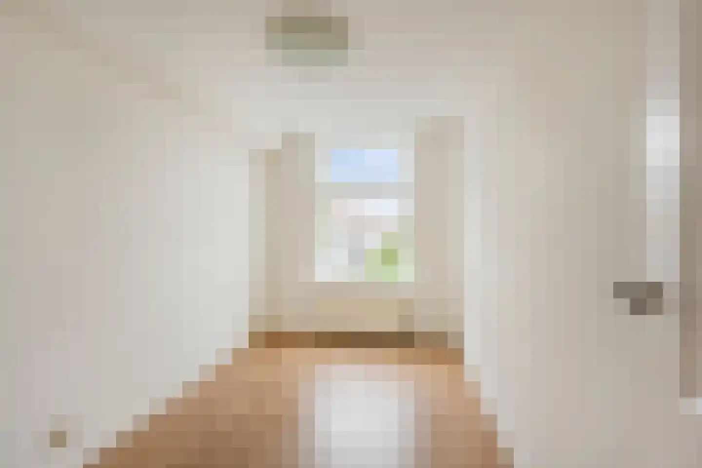 Piet Heinstraat 101 B Den Haag thumbnail 19