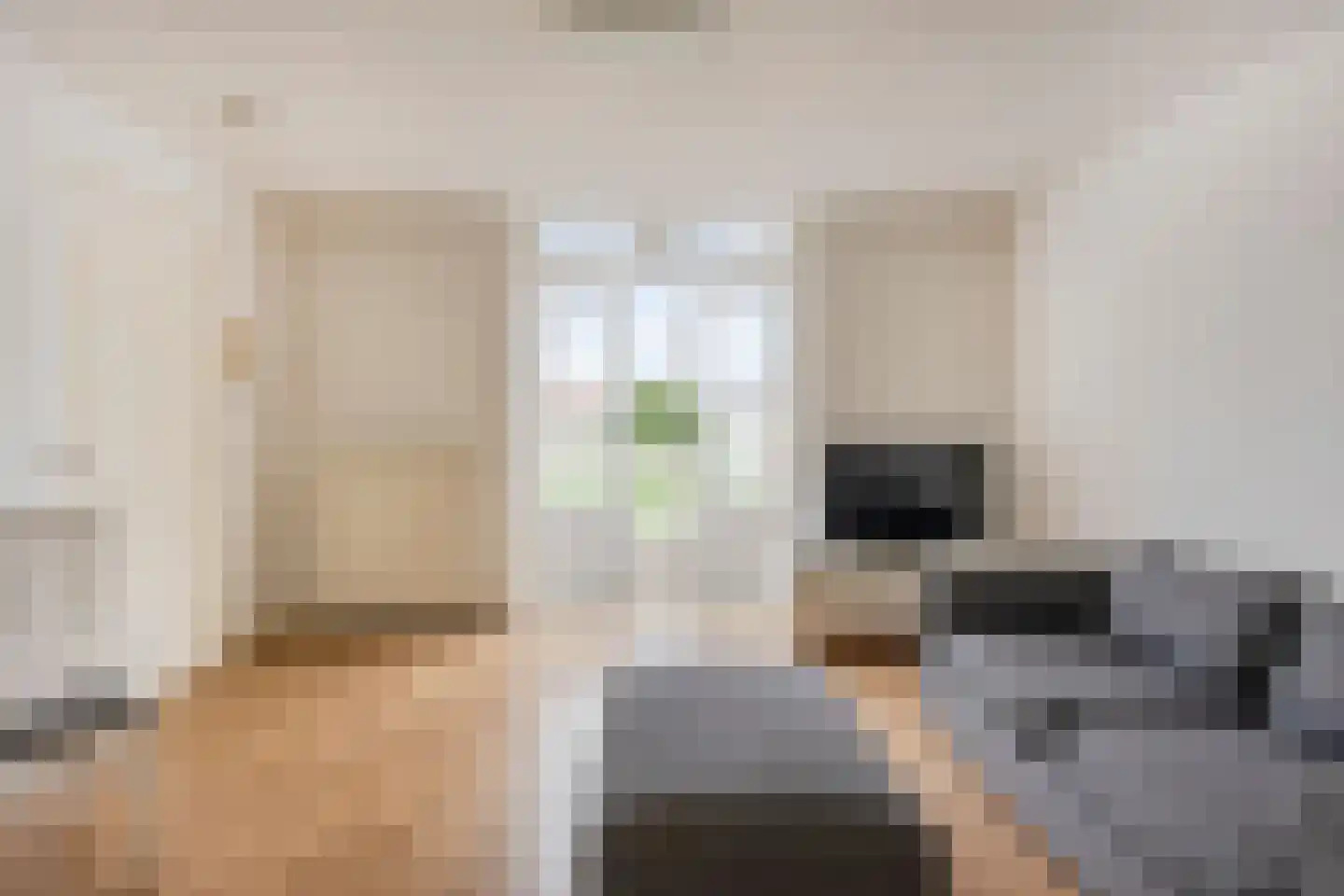Piet Heinstraat 101 B Den Haag thumbnail 4