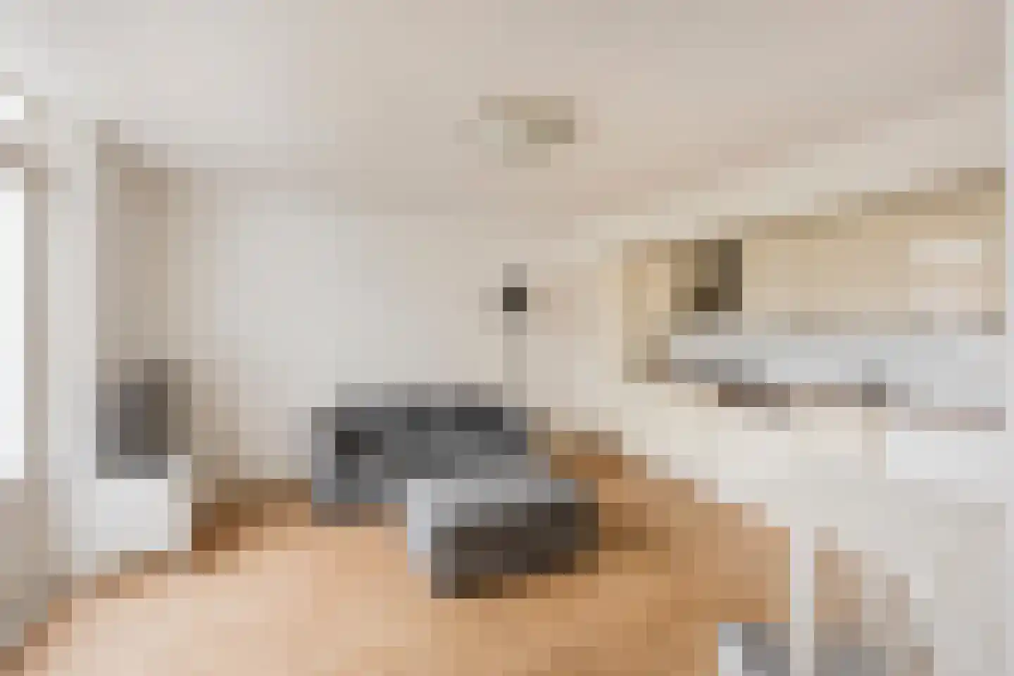 Piet Heinstraat 101 B Den Haag thumbnail 5