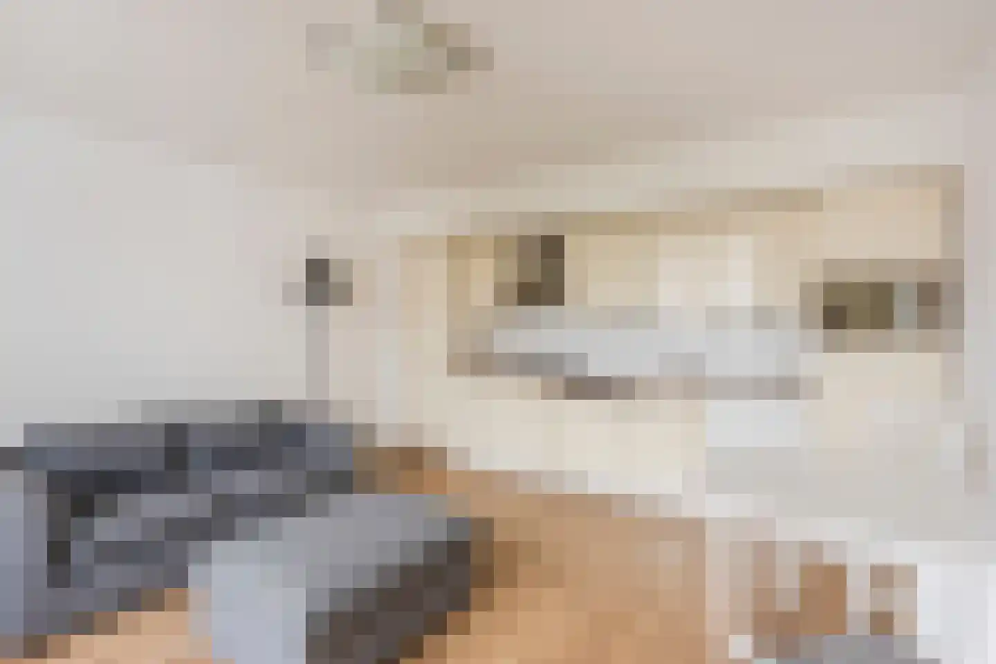 Piet Heinstraat 101 B Den Haag thumbnail 7