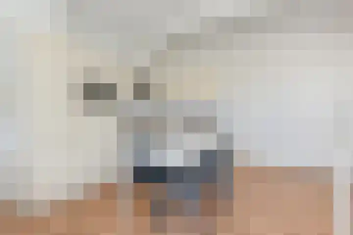 Piet Heinstraat 101 C Den Haag thumbnail 10