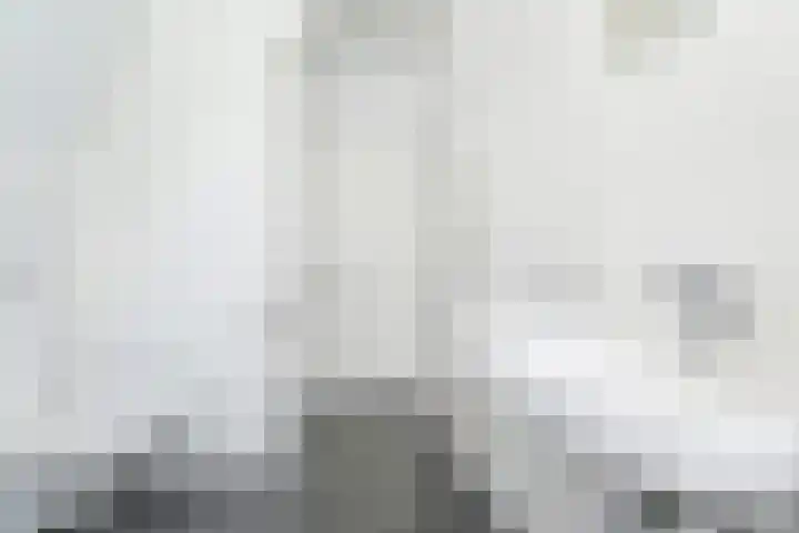 Piet Heinstraat 101 C Den Haag thumbnail 20