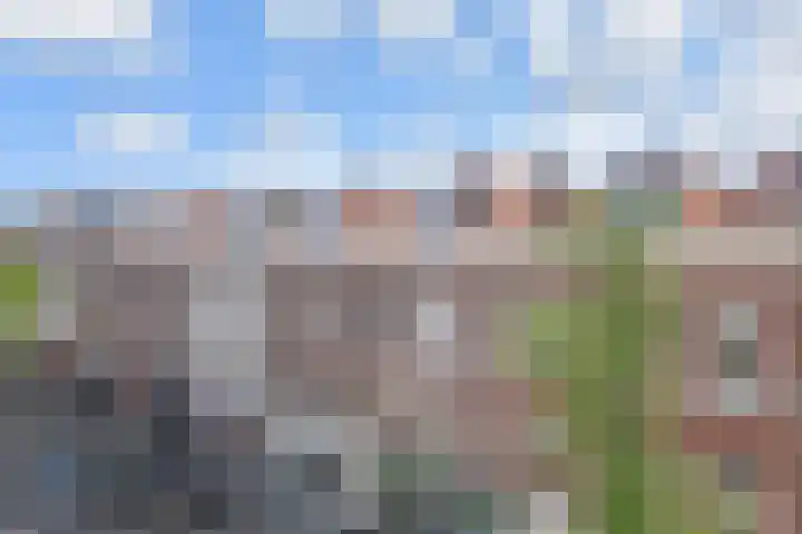 Piet Heinstraat 101 C Den Haag thumbnail 25