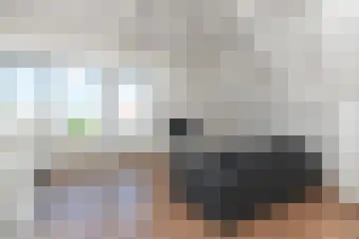 Piet Heinstraat 101 C Den Haag thumbnail 7