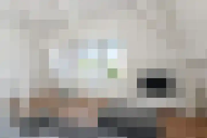 Piet Heinstraat 101 C Den Haag thumbnail 8