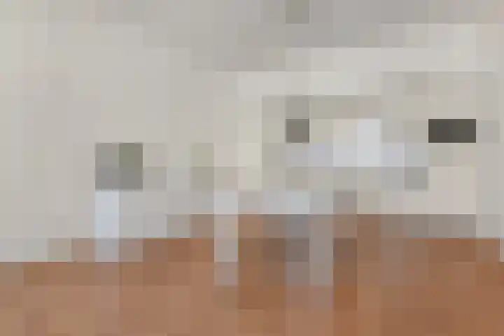 Piet Heinstraat 101 Den Haag thumbnail 10