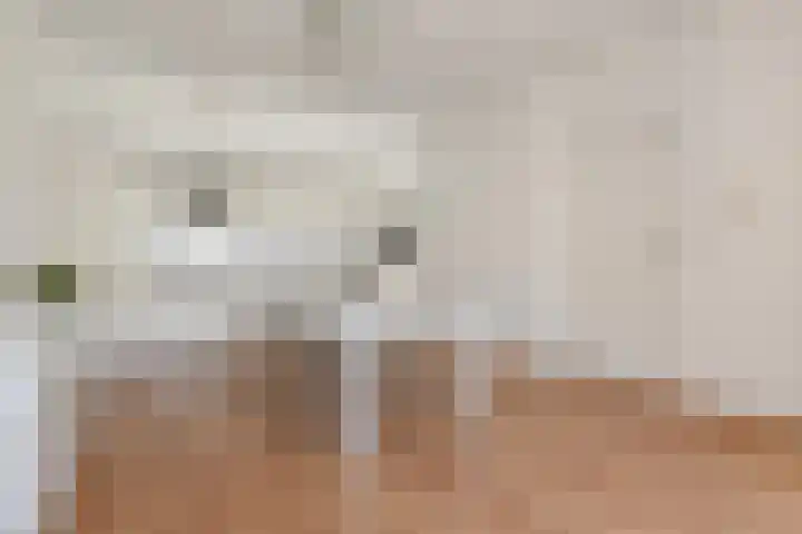 Piet Heinstraat 101 Den Haag thumbnail 11