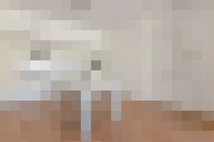Piet Heinstraat 101 Den Haag thumbnail 12