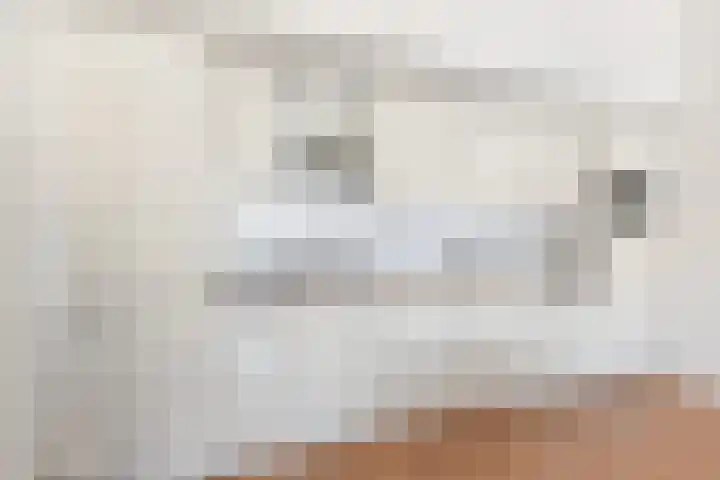 Piet Heinstraat 101 Den Haag thumbnail 14
