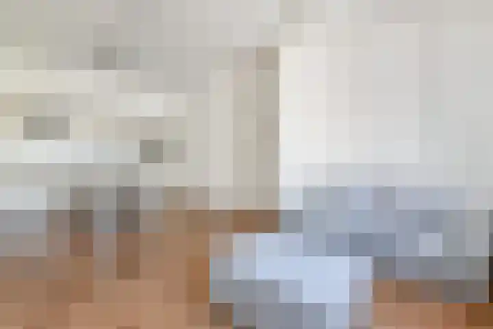 Piet Heinstraat 101 Den Haag thumbnail 4