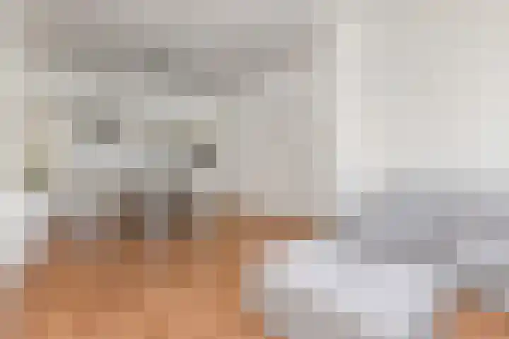 Piet Heinstraat 101 Den Haag thumbnail 5