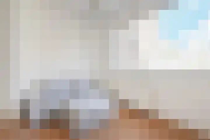 Piet Heinstraat 101 Den Haag thumbnail 7