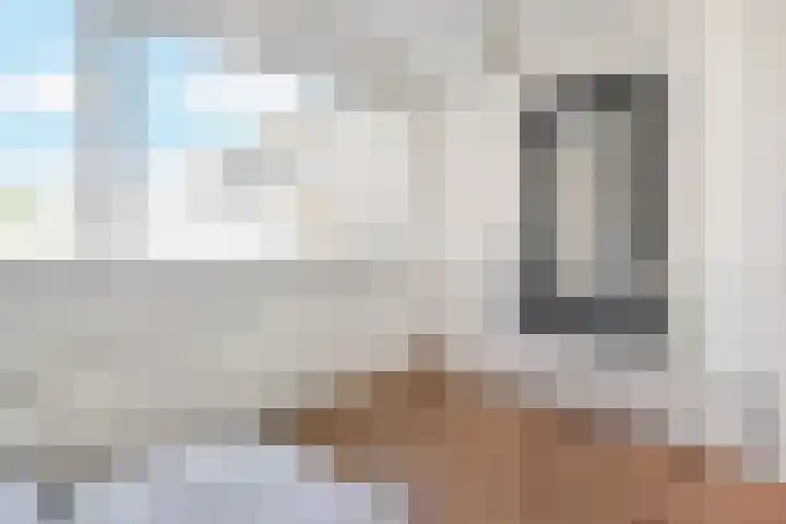 Piet Heinstraat 101 Den Haag thumbnail 8