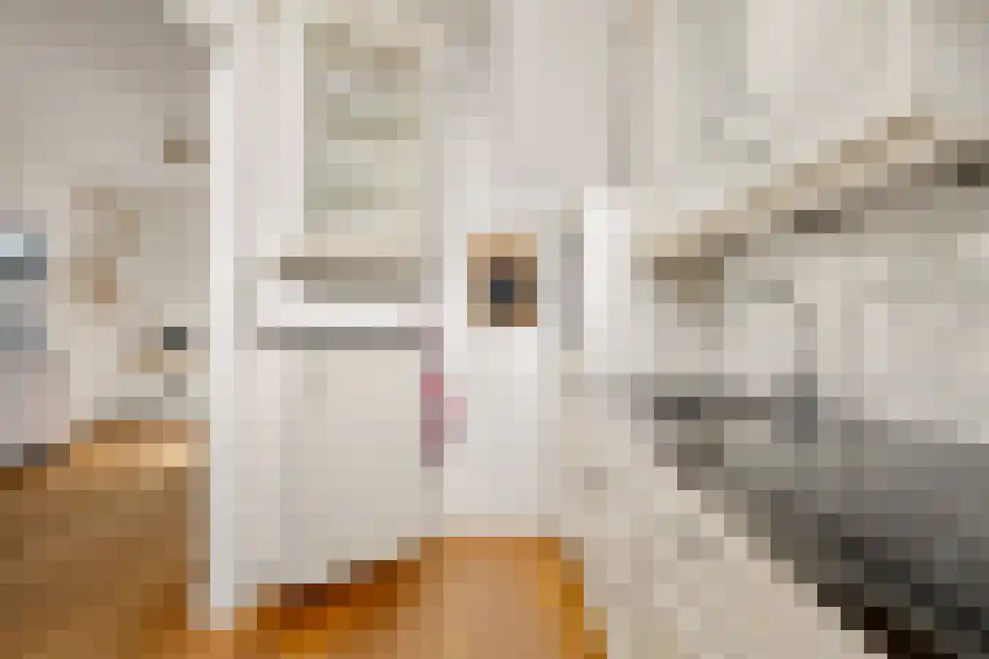 Piet Heinstraat 11 Zwolle thumbnail 15