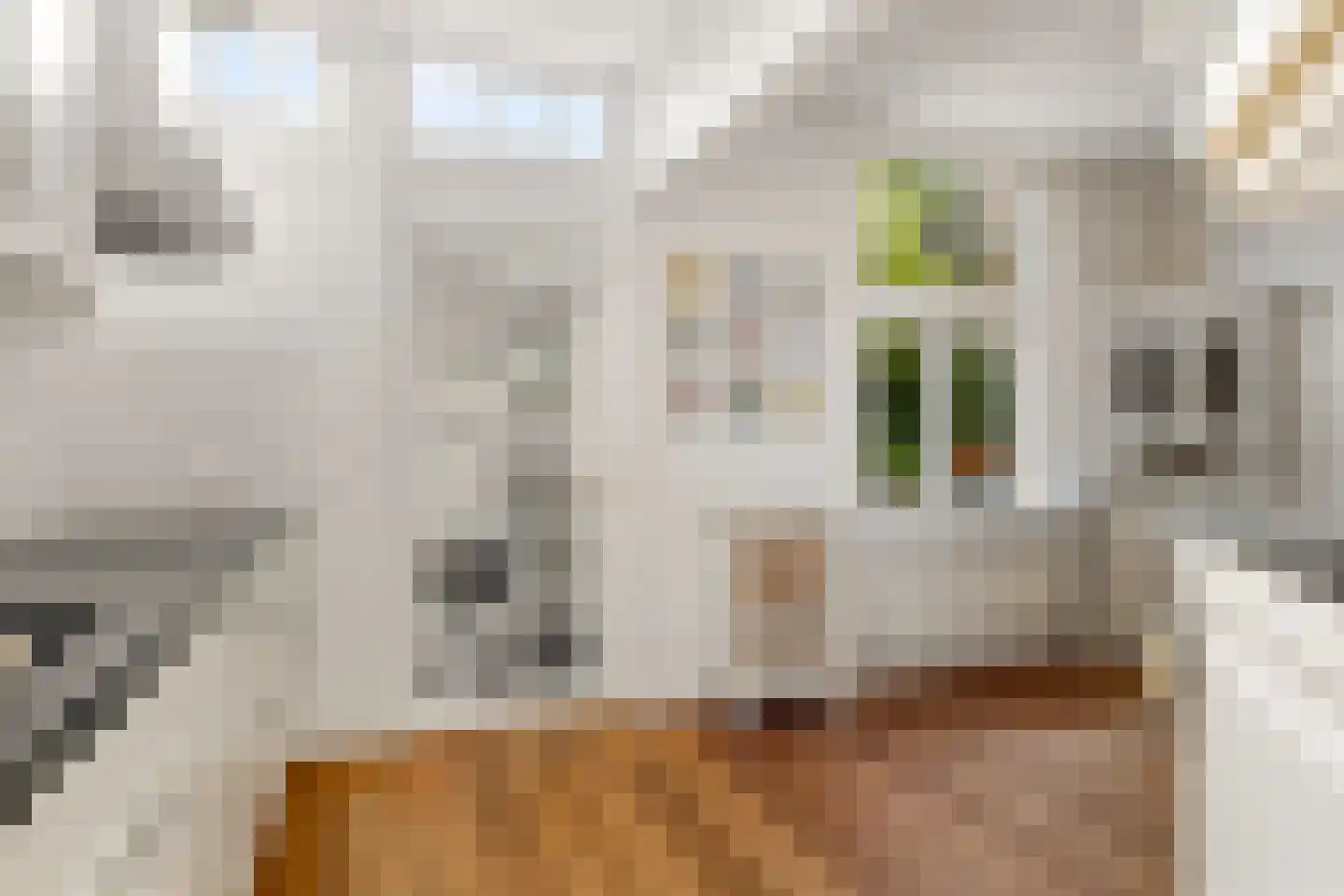 Piet Heinstraat 11 Zwolle thumbnail 16