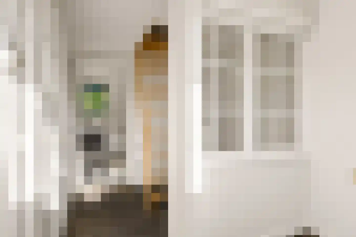 Piet Heinstraat 11 Zwolle thumbnail 24
