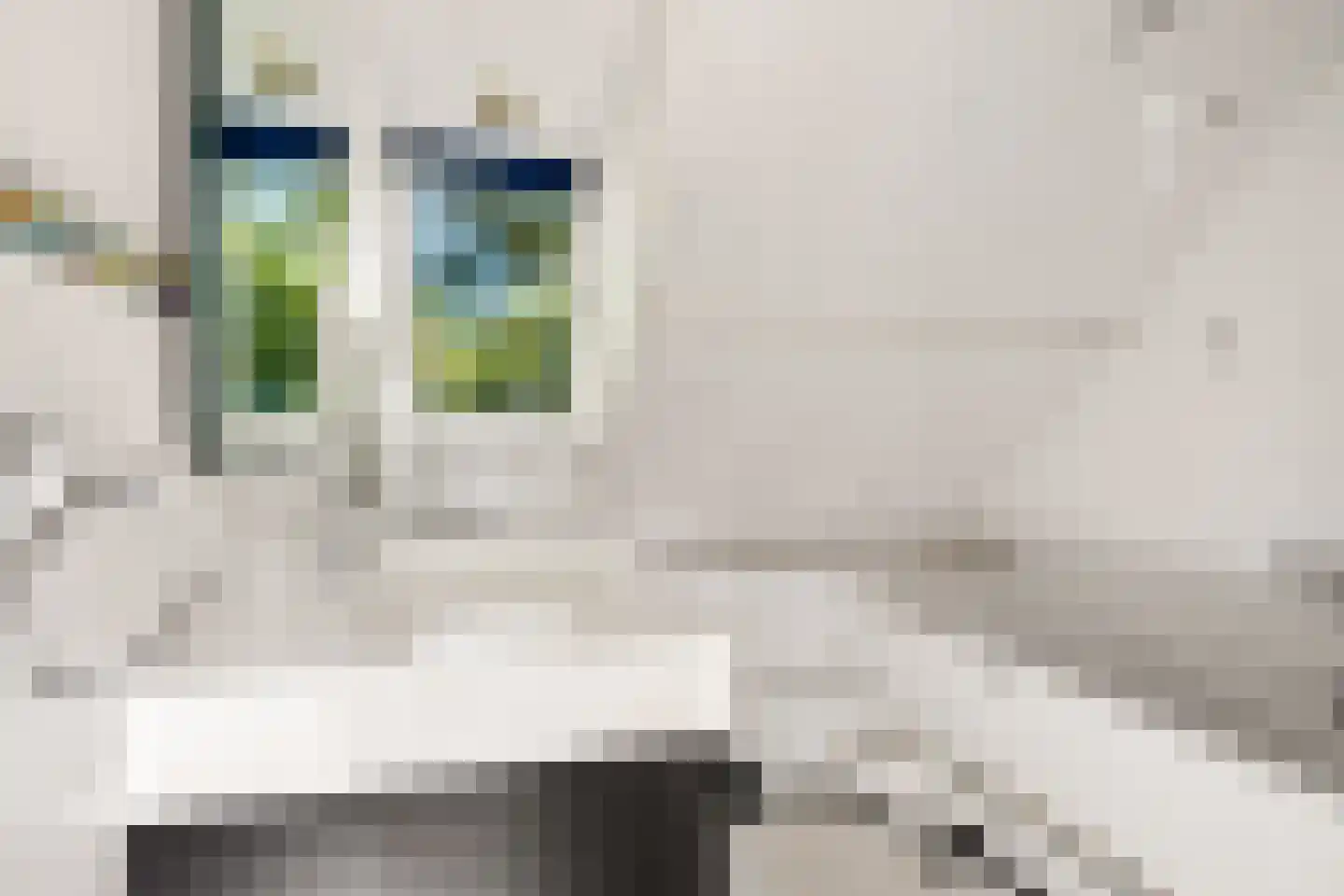 Piet Heinstraat 11 Zwolle thumbnail 26