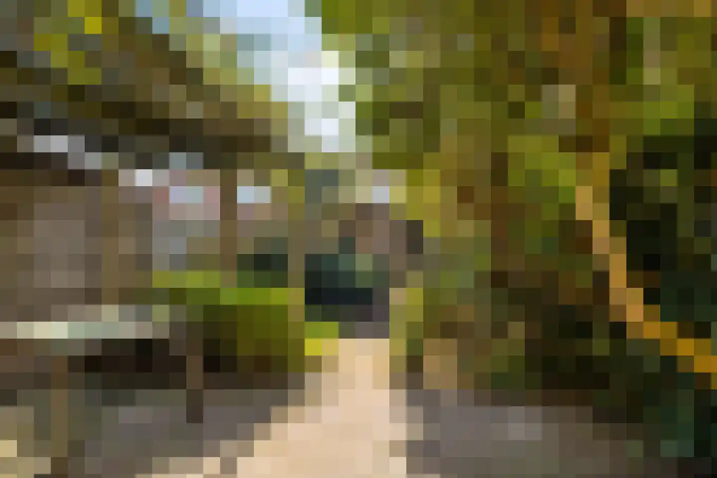 Piet Heinstraat 11 Zwolle thumbnail 30