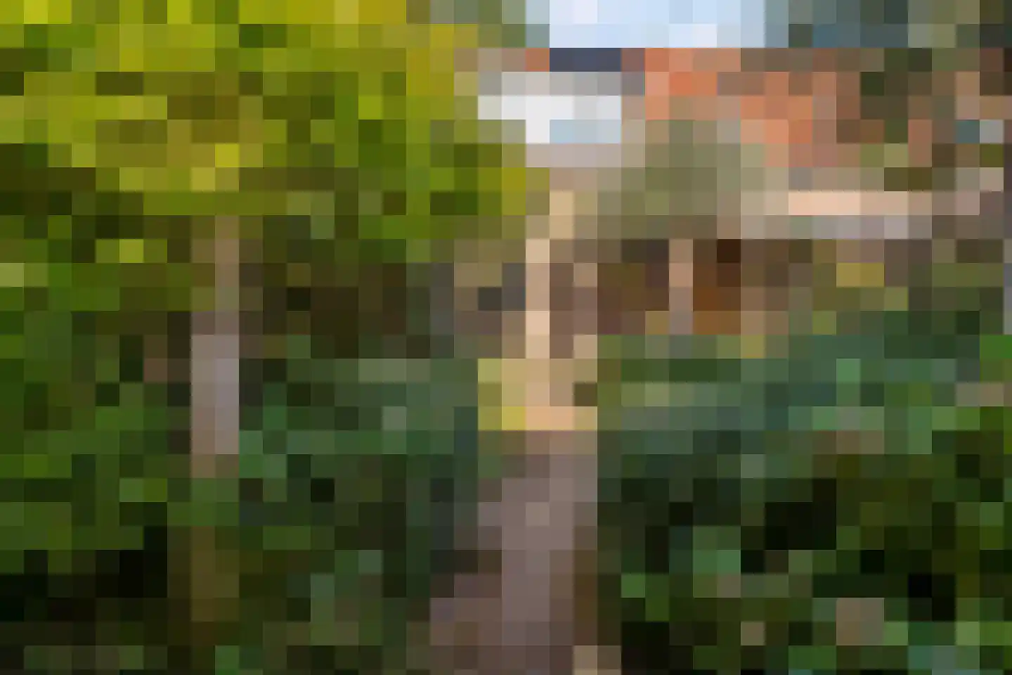 Piet Heinstraat 11 Zwolle thumbnail 31