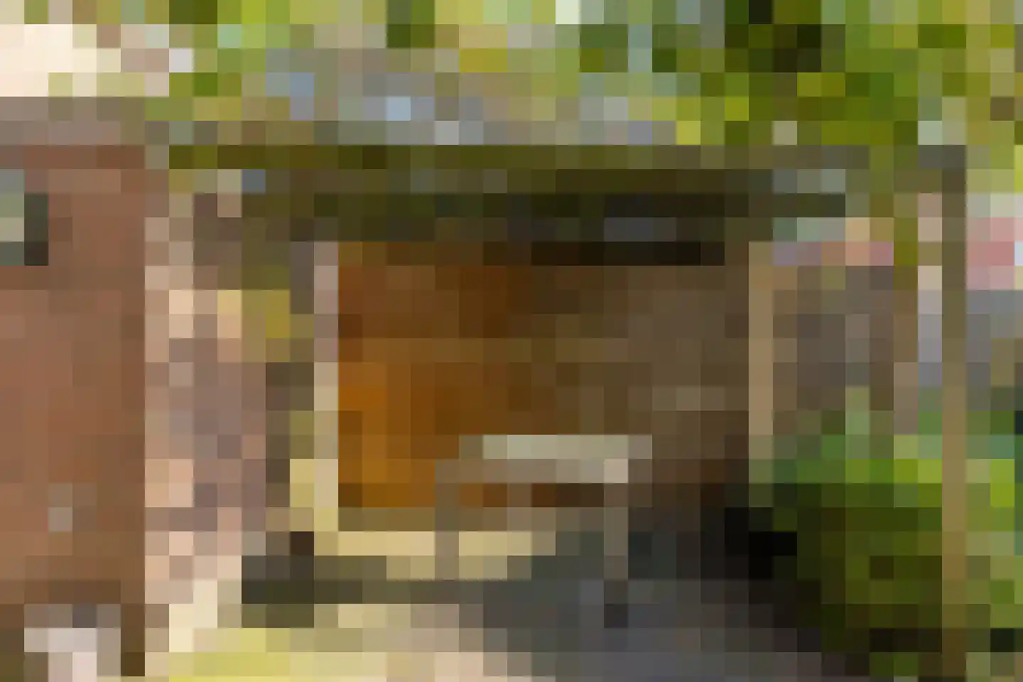 Piet Heinstraat 11 Zwolle thumbnail 32