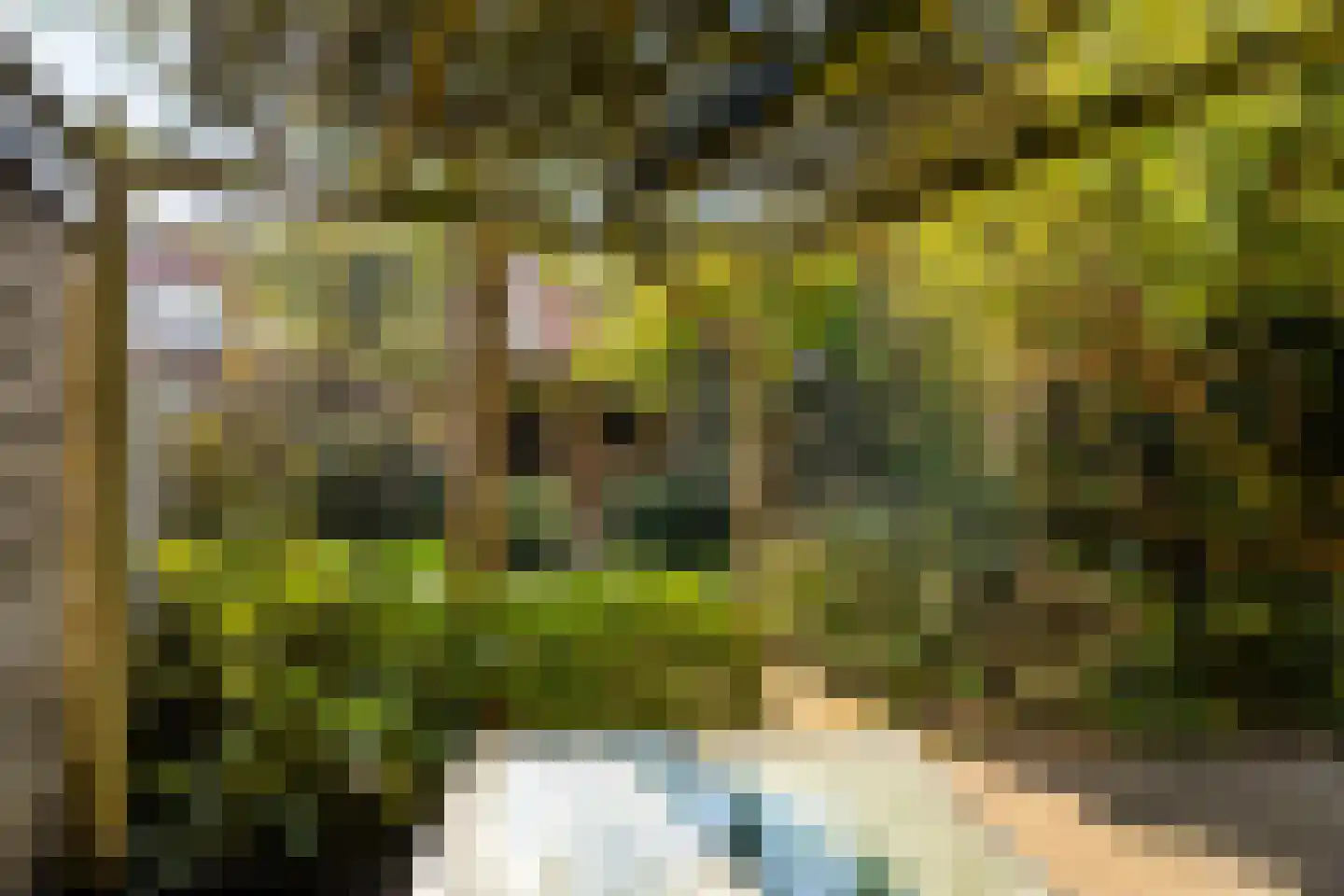 Piet Heinstraat 11 Zwolle thumbnail 33