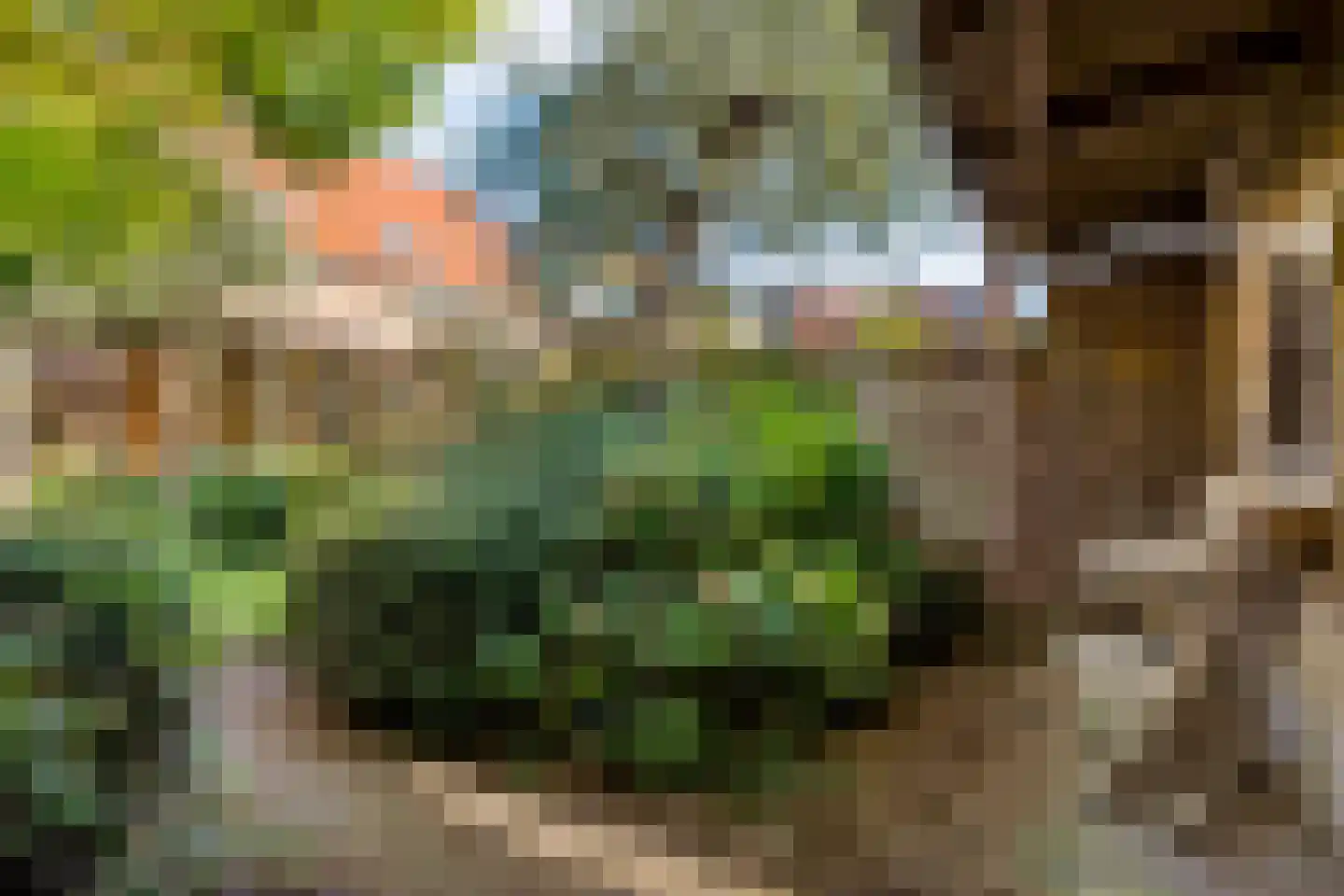 Piet Heinstraat 11 Zwolle thumbnail 35