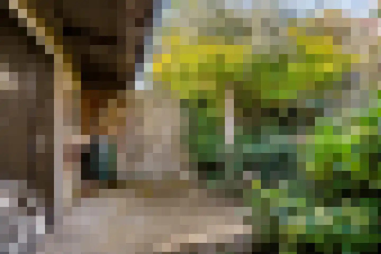 Piet Heinstraat 11 Zwolle thumbnail 37