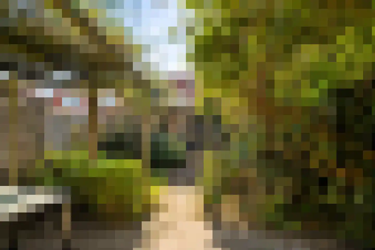 Piet Heinstraat 11 Zwolle thumbnail 5