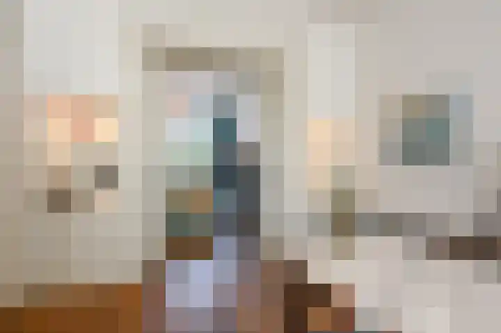 Piet Heinstraat 110 A Den Haag thumbnail 10
