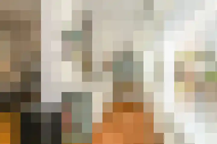 Piet Heinstraat 110 A Den Haag thumbnail 19