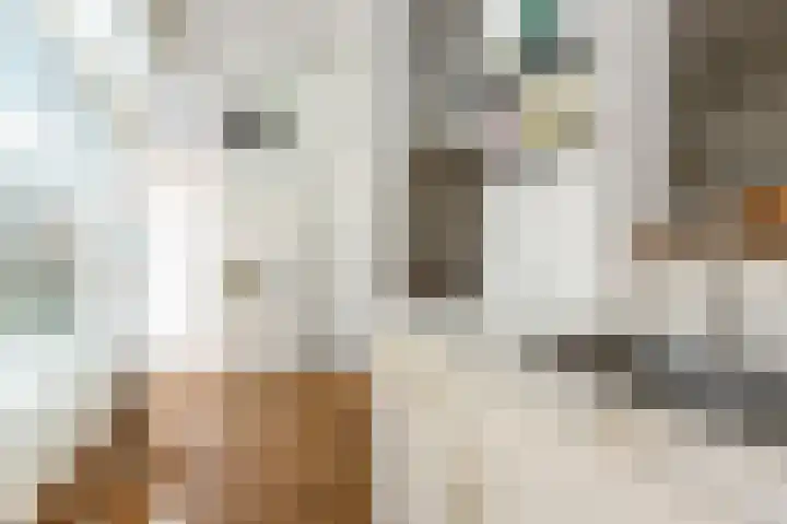 Piet Heinstraat 110 A Den Haag thumbnail 21