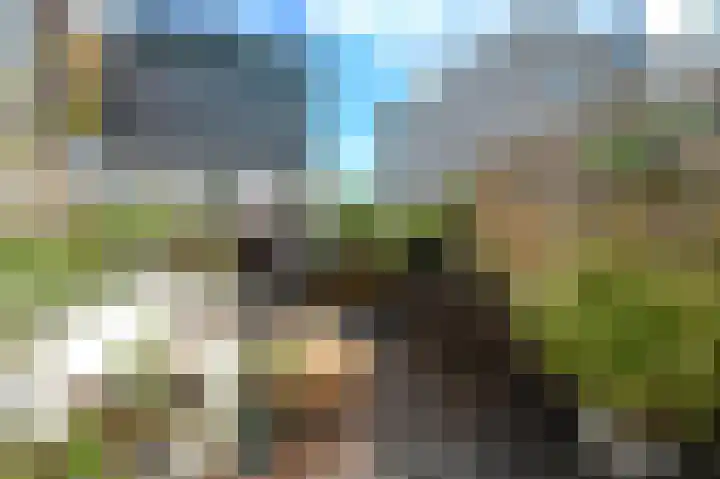 Piet Heinstraat 110 A Den Haag thumbnail 23