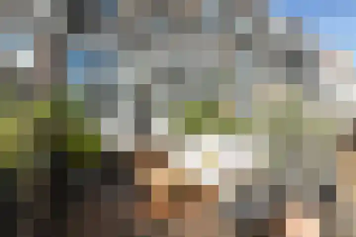 Piet Heinstraat 110 A Den Haag thumbnail 24