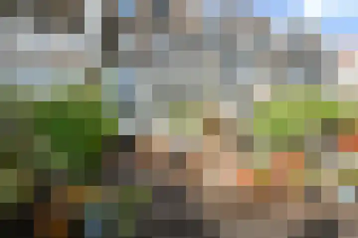 Piet Heinstraat 110 A Den Haag thumbnail 28