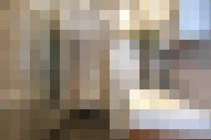 Piet Heinstraat 110 A Den Haag thumbnail 33