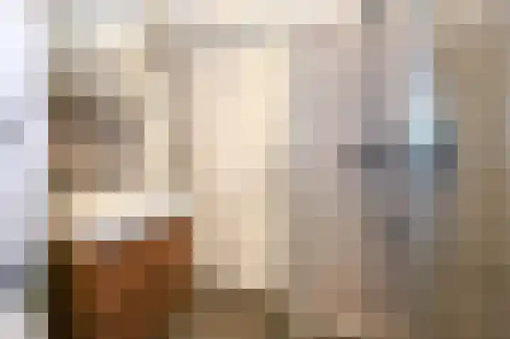 Piet Heinstraat 110 A Den Haag thumbnail 34