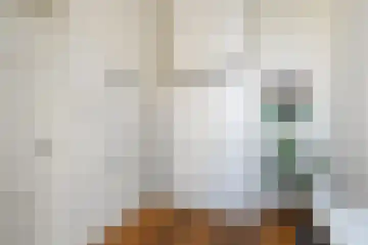 Piet Heinstraat 110 A Den Haag thumbnail 36