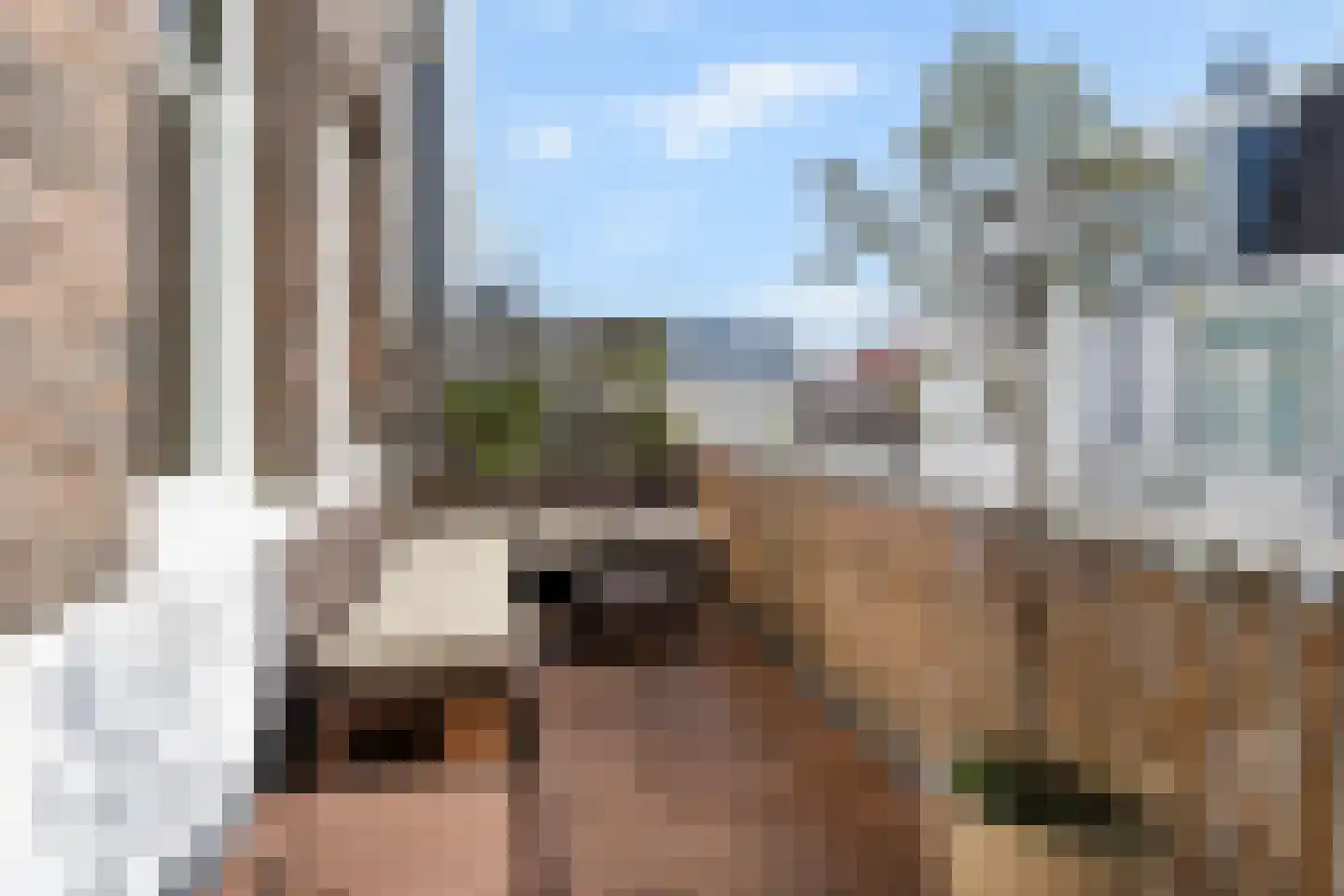 Piet Heinstraat 110 A Den Haag thumbnail 4