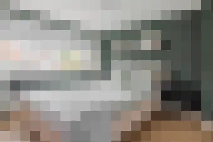 Piet Heinstraat 12 Bodegraven thumbnail 22