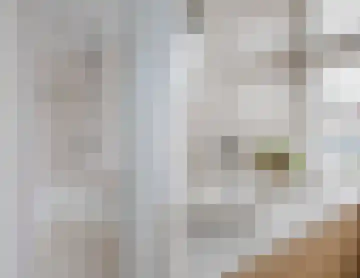 Piet Heinstraat 12 Bodegraven thumbnail 28
