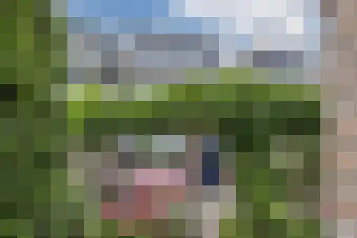 Piet Heinstraat 12 Bodegraven thumbnail 5
