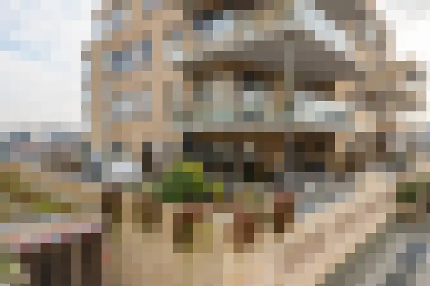 Piet Heinstraat 129 Lisse thumbnail 21