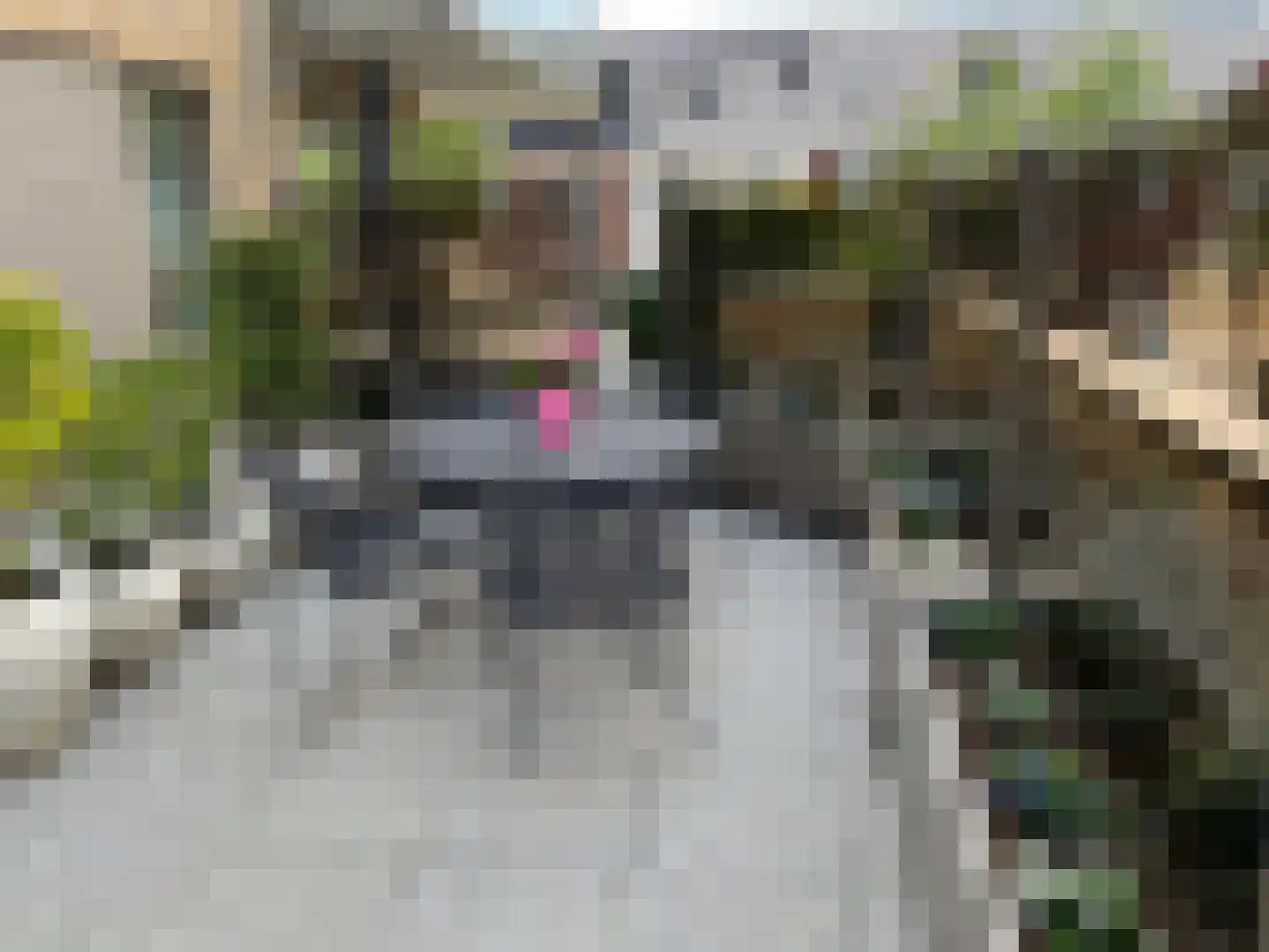 Piet Heinstraat 129 Lisse thumbnail 25