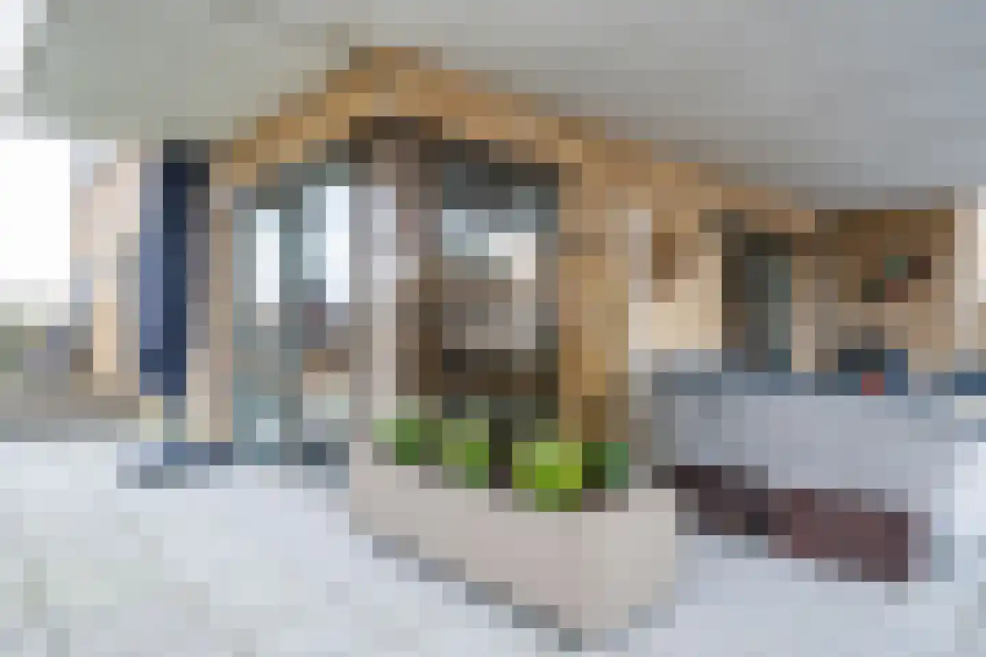 Piet Heinstraat 129 Lisse thumbnail 25