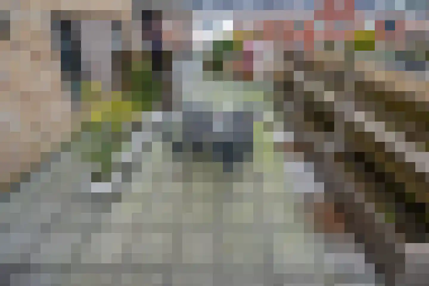 Piet Heinstraat 129 Lisse thumbnail 30