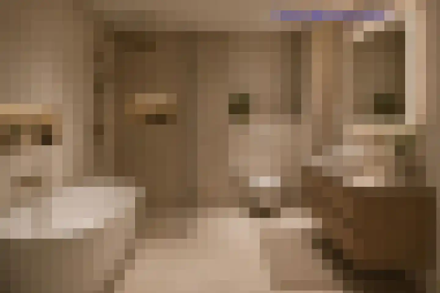 Piet Heinstraat 129 Lisse thumbnail 31