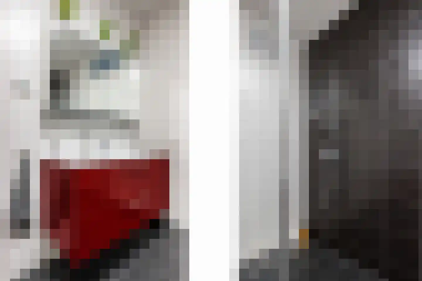 Piet Heinstraat 129 Lisse thumbnail 33