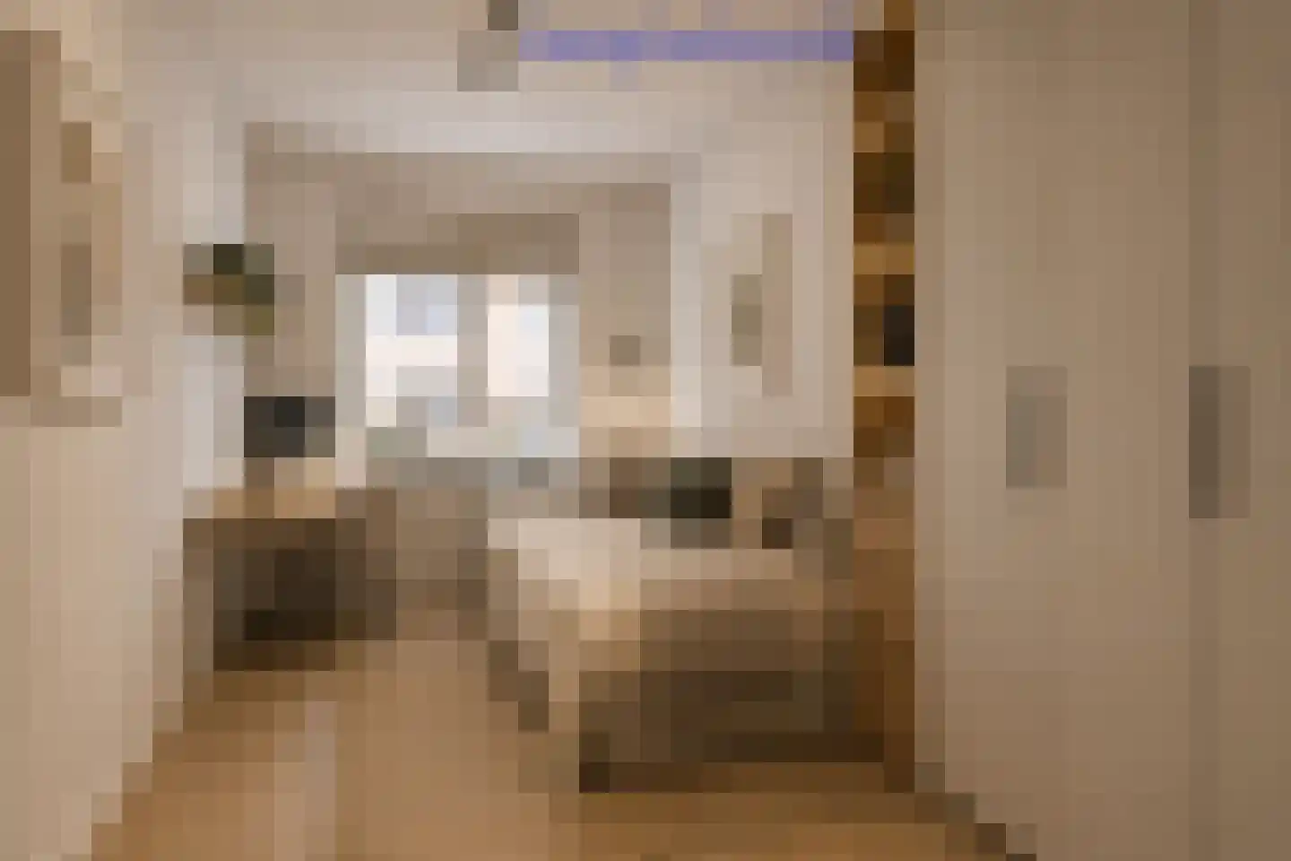 Piet Heinstraat 129 Lisse thumbnail 36